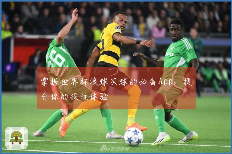 掌握世界杯滚球买球的必备App，提升你的投注体验