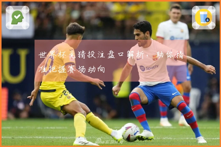 世界杯竞猜投注盘口解析，助你精准把握赛场动向