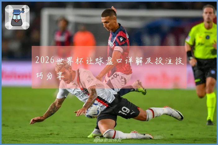 2026世界杯让球盘口详解及投注技巧分享