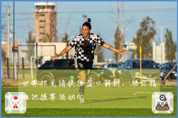 世界杯竞猜投注盘口解析，助你精准把握赛场动向