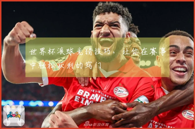 世界杯滚球竞猜技巧，让你在赛事中轻松获利的窍门
