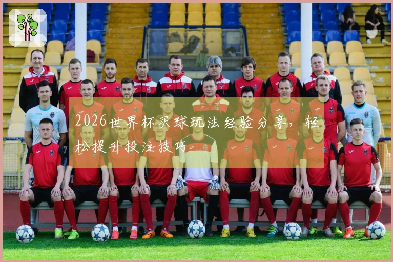 2026世界杯买球玩法经验分享，轻松提升投注技巧