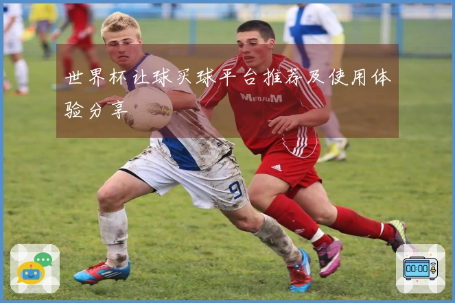世界杯让球买球平台推荐及使用体验分享