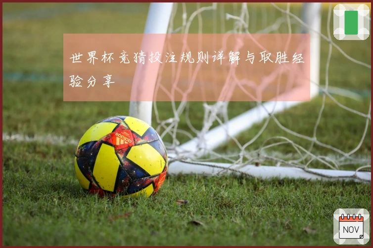 世界杯竞猜投注规则详解与取胜经验分享