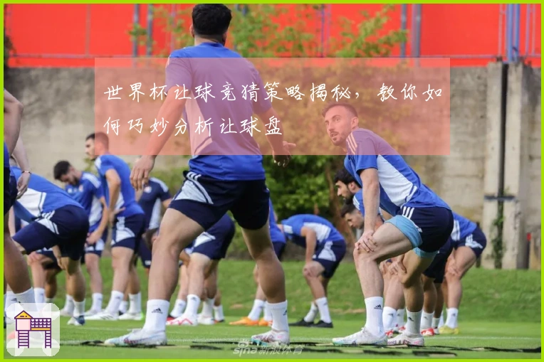 世界杯让球竞猜策略揭秘，教你如何巧妙分析让球盘